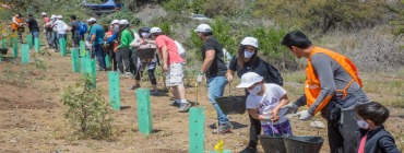 Grünenthal employees and their families planting trees in Chile  as part of the #TreesForOurPlanet reforestation project initiated by Grünenthal