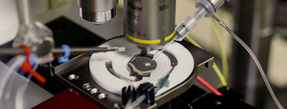 Electrophysiology
