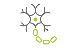 Periphere neuropathische Schmerzen