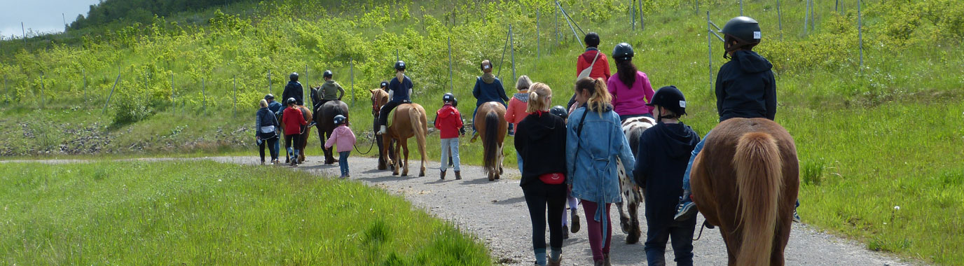 Auch in diesem Jahr wurde den jungen Gästen wieder ein buntes Programm rund ums Reiten geboten.