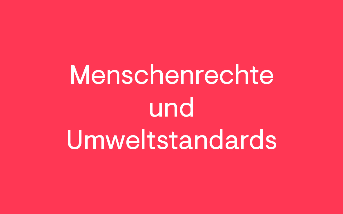 Menschenrechte und Umweltstandards